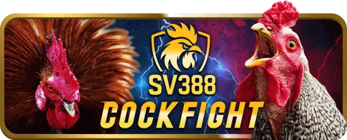 Hình ảnh minh họa biểu mẫu đăng ký v88 bet